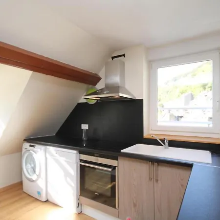 Mont-dore - T3 Centre, 2 Chambres, Equipe, 5 Pers - Fr-1-608-180 Apartment Le Mont-Dore